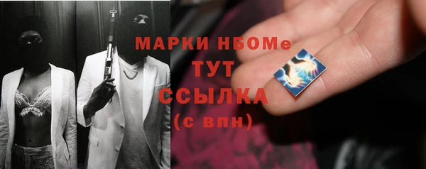 мет Алексин