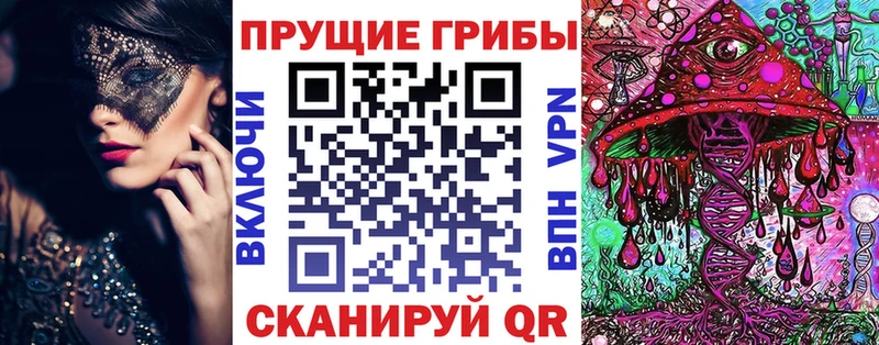 даркнет сайт Комсомольск-на-Амуре darknet как зайти Галлюциногенные грибы мицелий