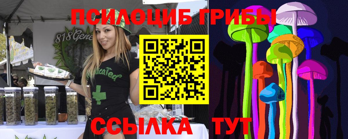 продажа наркотиков  Вход с VPN  Комсомольск-на-Амуре  Галлюциногенные грибы Psilocybe 